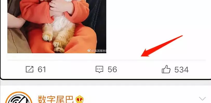 (图)微博截图,底部三个按钮统称Image tab